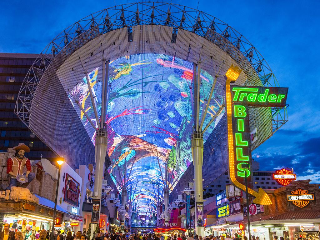Viva Vision Light Shows