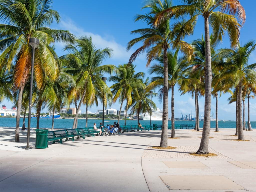 Bayfront Park mit Palmen