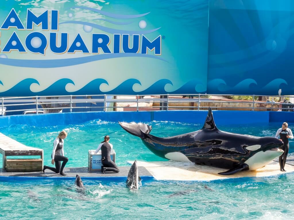 miami-seaquarium Miami Seaquarium