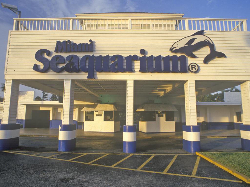 Der Eingang zum Miami Seaquarium