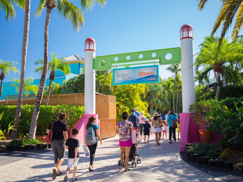 Die Flipper Show im Miami Seaquarium