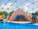 Eine Show im Miami Seaquarium