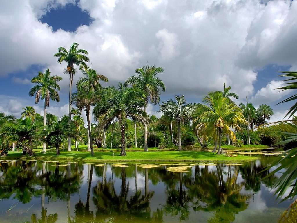 Botanischer Garten in Miami