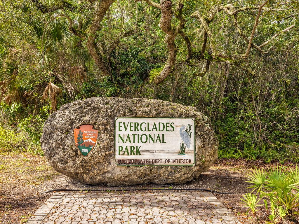 Der Everglades Nationalpark in Florida