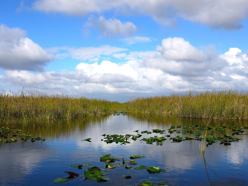 Florida Everglades Nationalpark