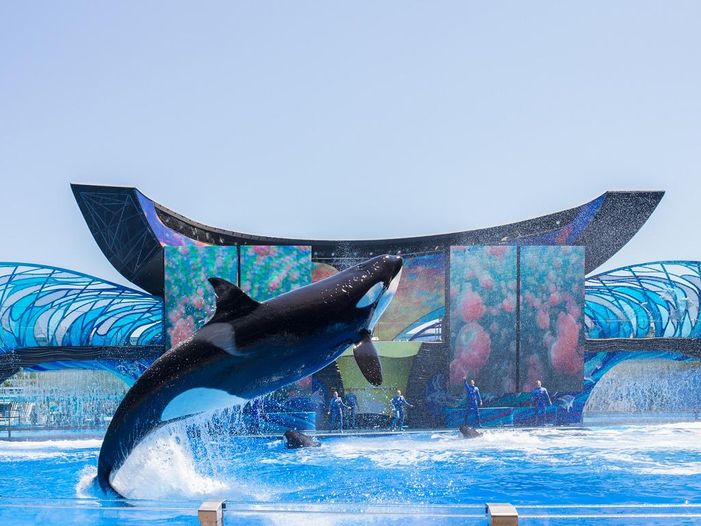 SeaWorld Orlando