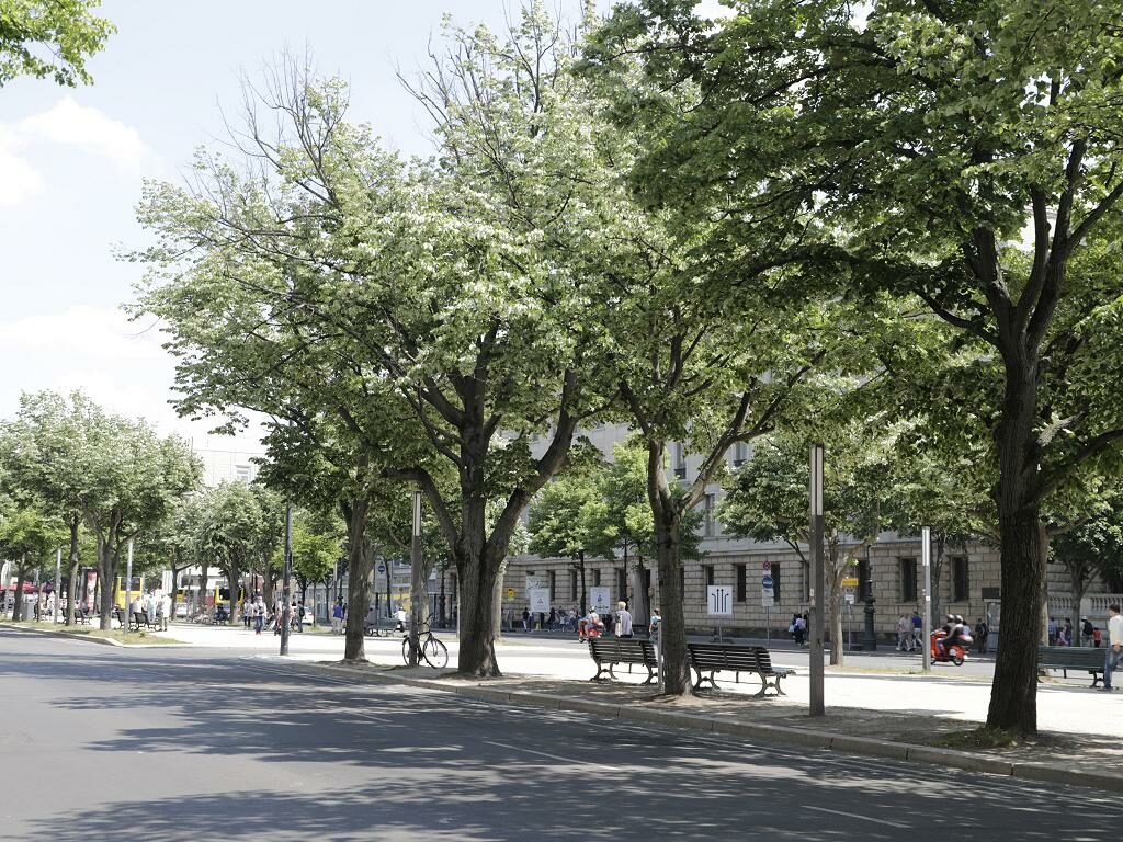 unter-den-linden Unter den Linden