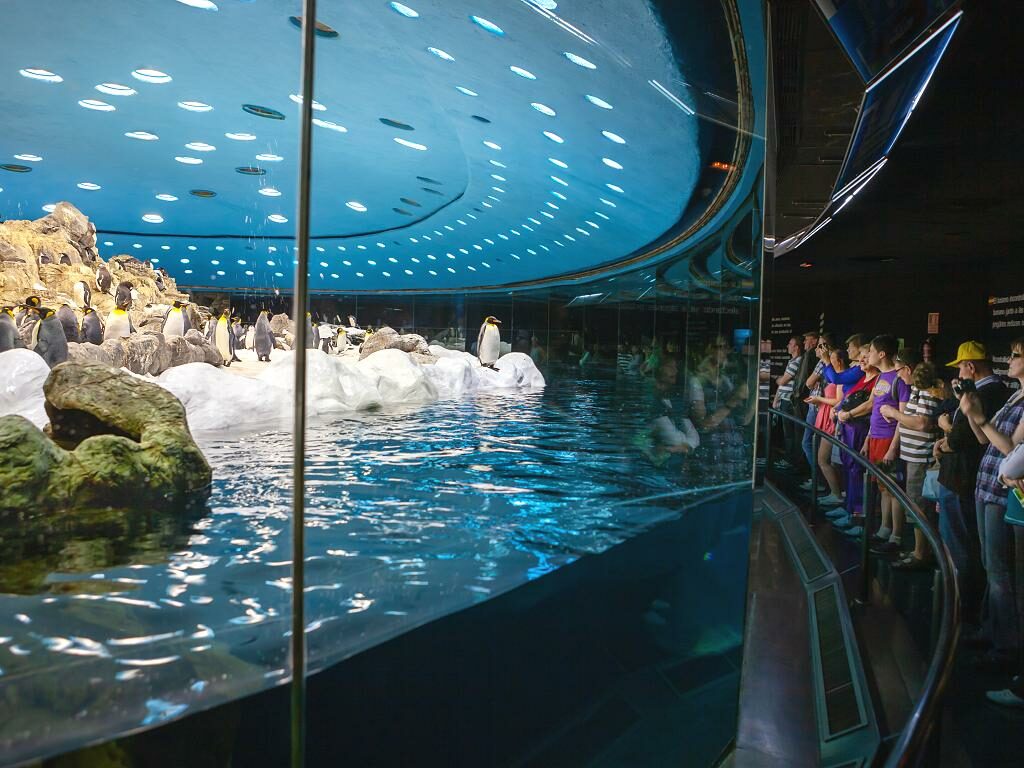 Pinguinarium