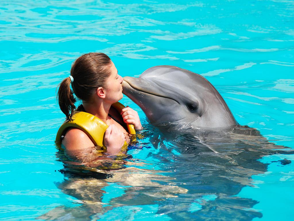 Schwimmen mit Delfinen