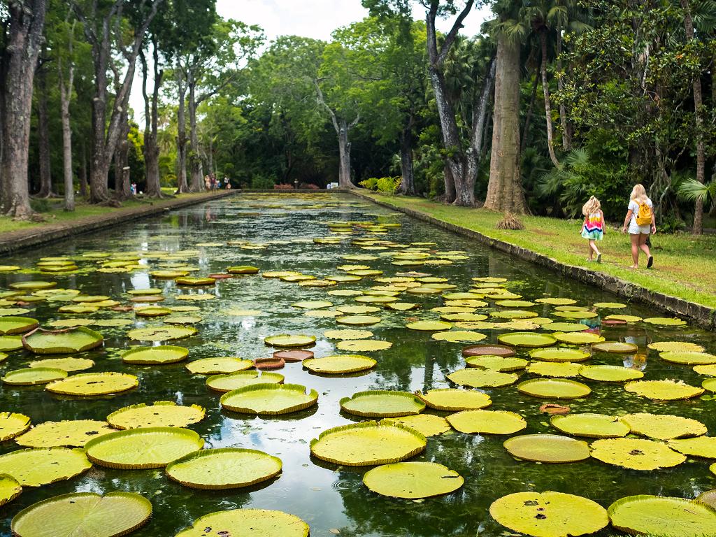 Sir Seewoosagur Ramgoolam Botanical Garden