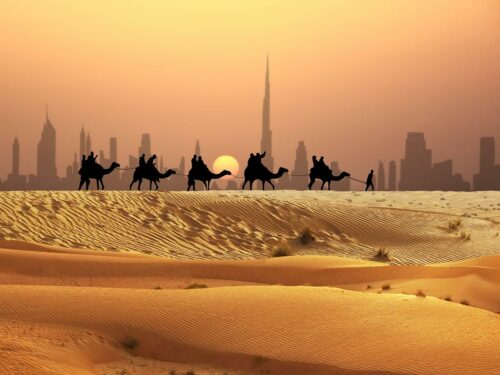 Dubai Wüste und Kamele