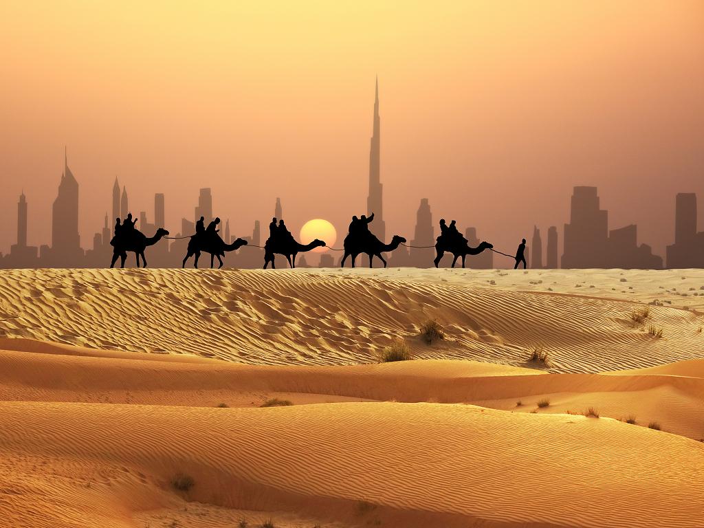 Dubai Wüste und Kamele