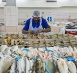 Abu Dhabi Fischmarkt