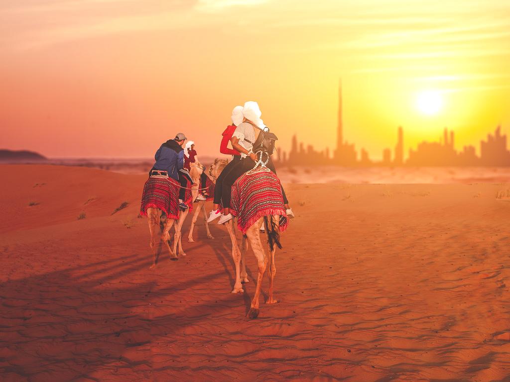 Kamelreiten im Emirat Dubai