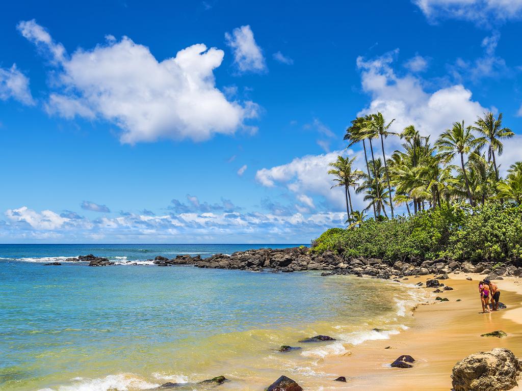 Laniakea Beach