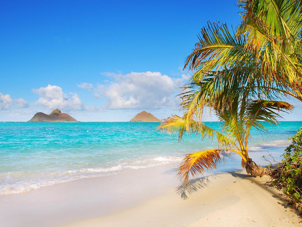 Der Lanikai Beach in Hawaii