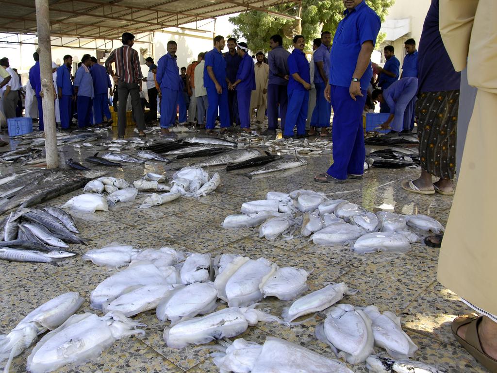 Fischmarkt Ras al Khaimah