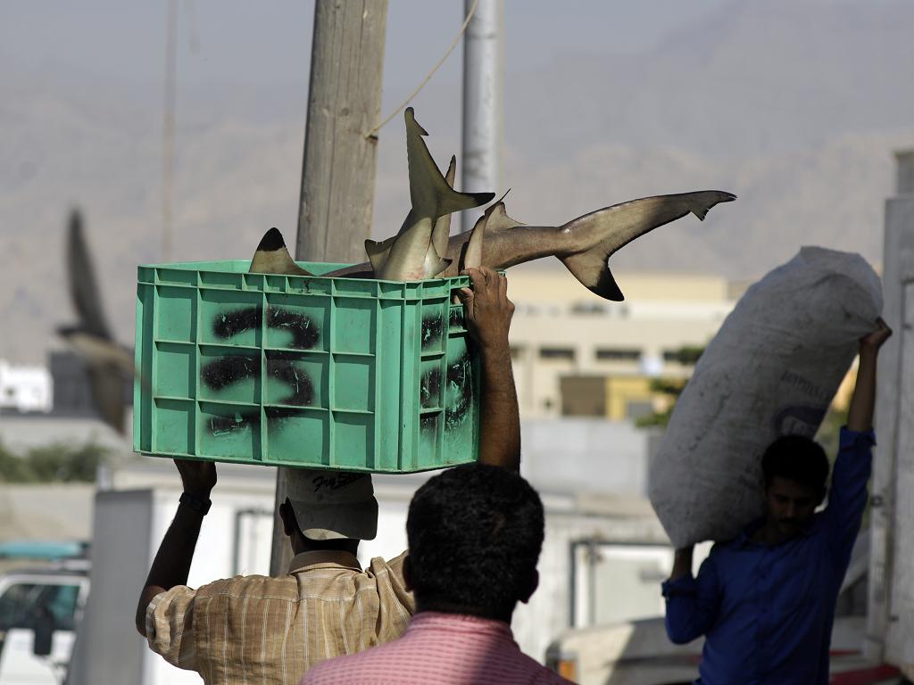 RAK Fish Market
