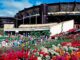 Aloha Stadium