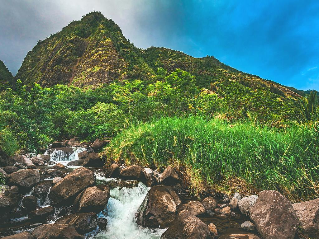 Ein Fluss im Iao Valley State Park