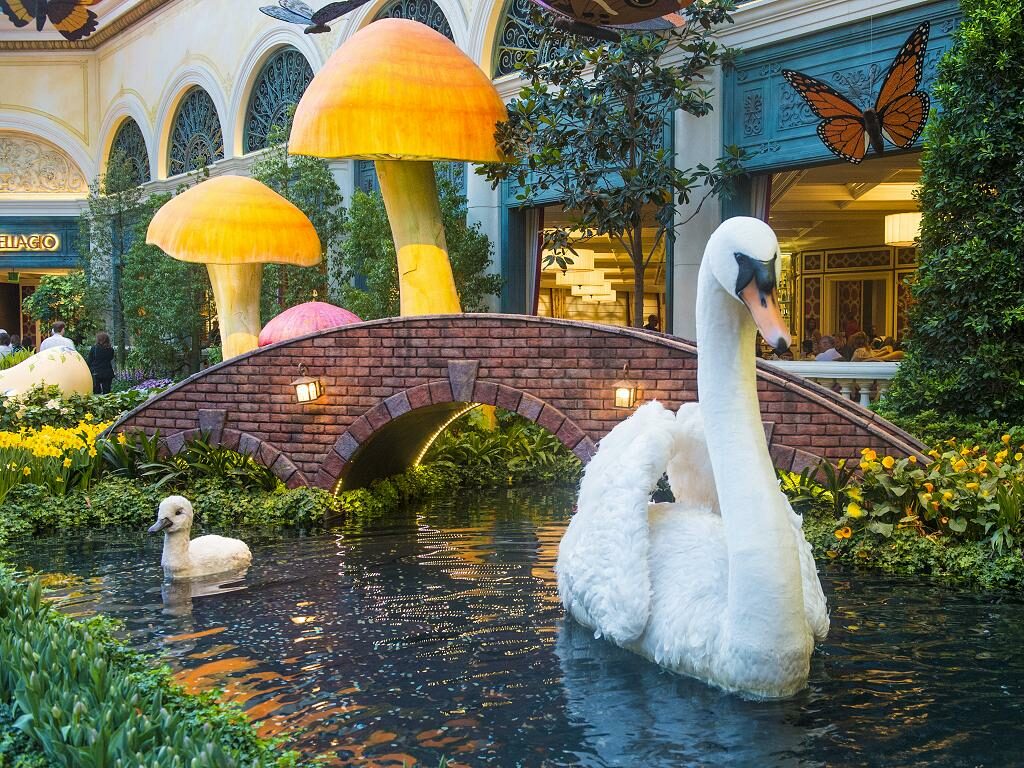 Bellagio Conservatory & Botanical Gardens