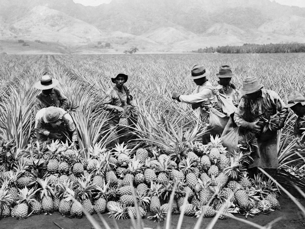 hawaii-geschichte Hawaii Geschichte