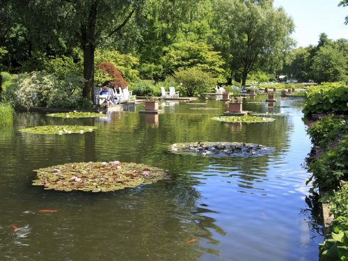 Botanischer Garten Hamburg