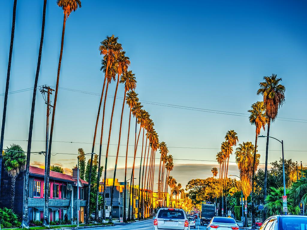 Sunset Boulevard