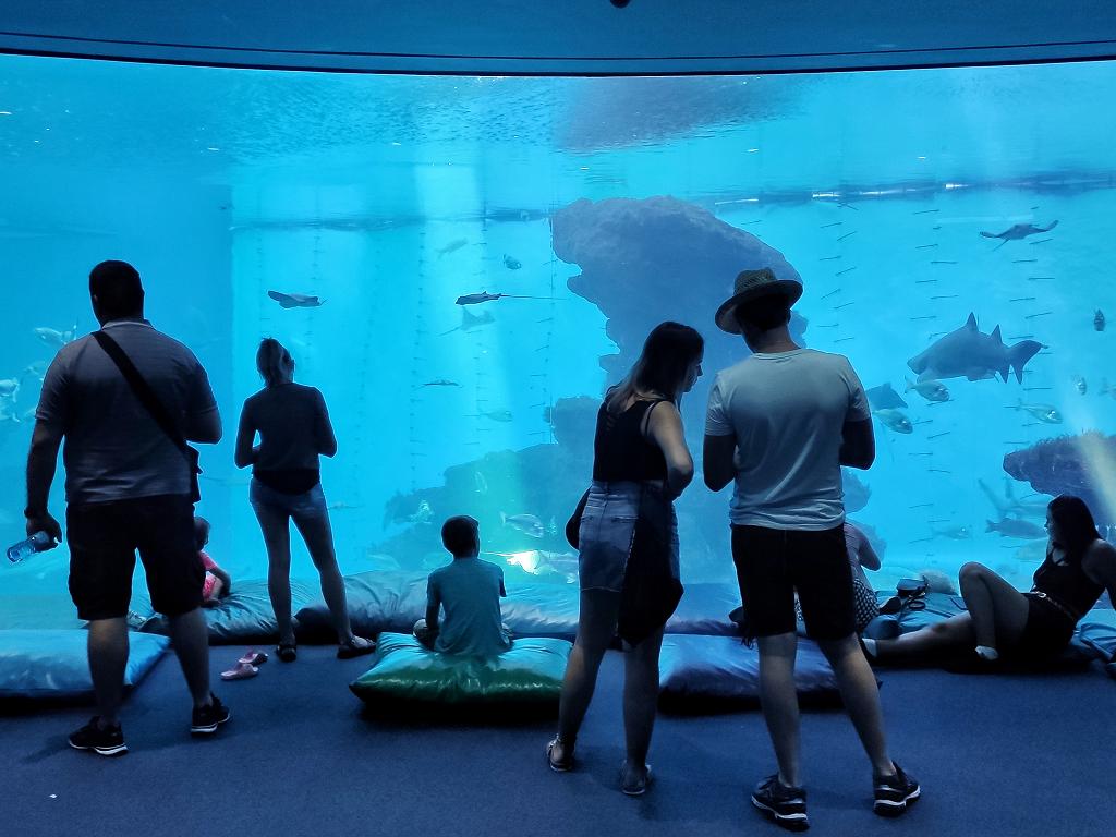 Das Aquarium in Palma