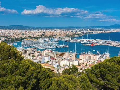 Palma