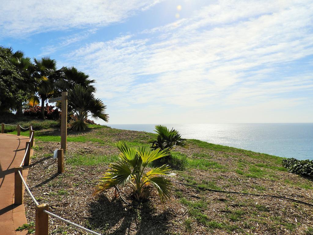 Palmetum und Meer