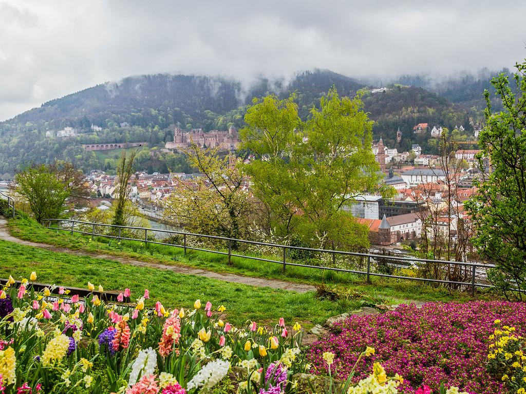 Die Aussicht über Heidelberg