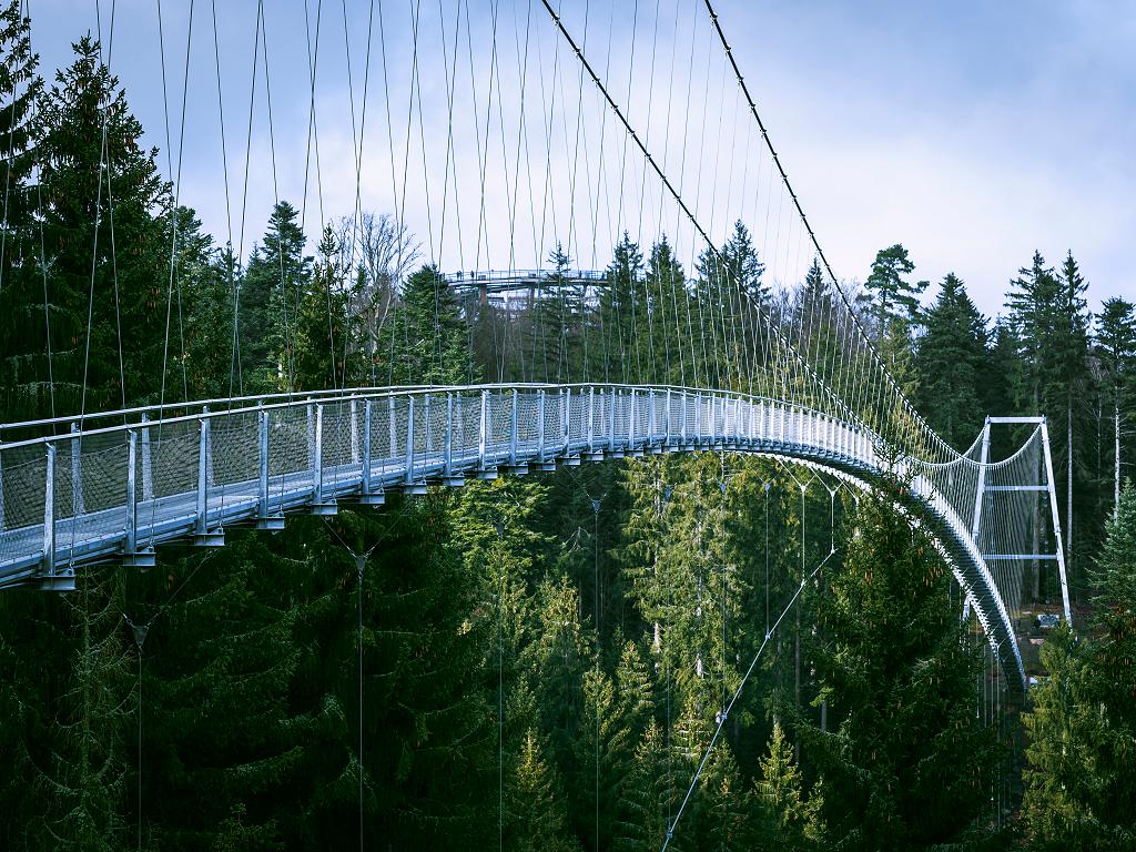 WildLine Hängebrücke