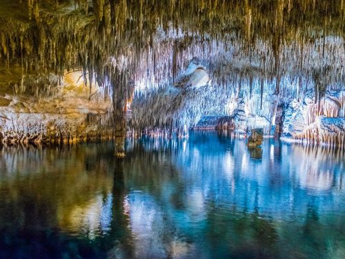 Coves del Drac