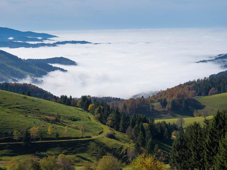 die-22-besten-sehensw-rdigkeiten-in-freiburg-top-10-liste